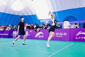 大马公开赛，国羽7胜2负，男双溃败，混双组携石宇奇、陈雨菲顺利过关